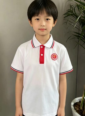 宝鸡烽火小学校服短袖
