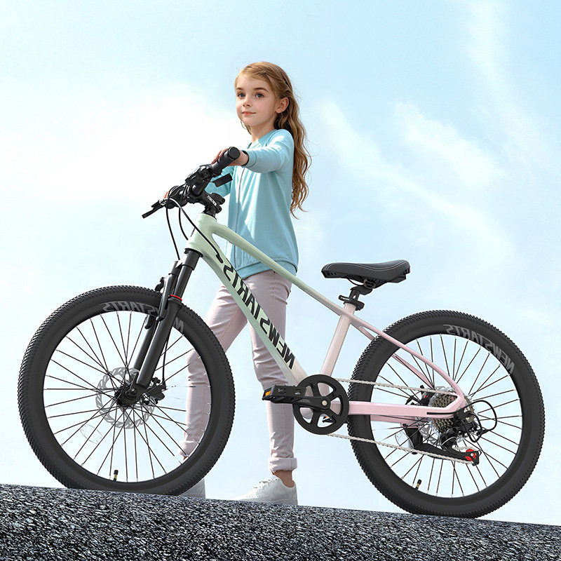 学生电动变速自行车青少年户外山地车大童旅游代步车可放后备箱潮