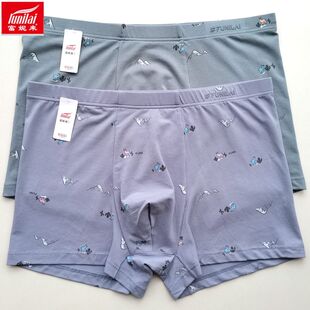 青年四角裤 2条价 8535抑菌印花短裤 莫代尔棉平角裤 8536 富妮来男士