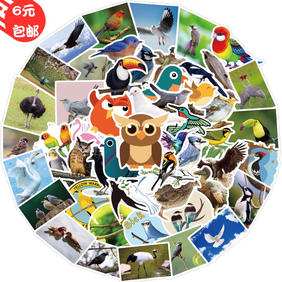 可爱卡通小鸟杜鹃喜鹊燕子老鹰儿童文具盒笔记本水杯装饰防水贴纸