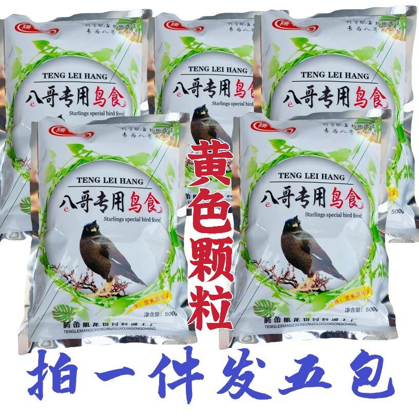 蓝耳丽椋鸟 蓝耳辉椋 大蓝耳丽椋鸟百科图片 饲养繁殖 雌雄鉴别 Sbike