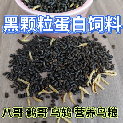 八哥鸟食饲料鹩哥乌鸫鸟百舌鸟粮