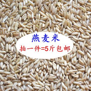 燕麦米 鹦鹉鸟食饲料 鸟粮饲料虎皮牡丹玄风小太阳 鸽粮 5斤包邮