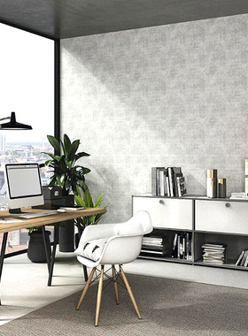 德国原装进口墙纸现代工业风格背景墙 412000 412017 412024 4120