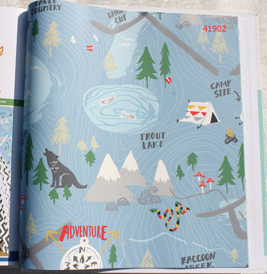 美国进口纯纸儿童房男孩卧室墙纸FA42006 FA42106 FA41902 41906