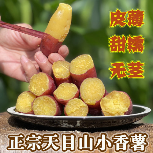 新鲜现挖正宗临安天目山小香薯
