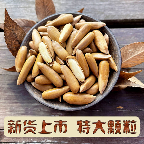 特级大颗粒2025新货巴西松子罐装