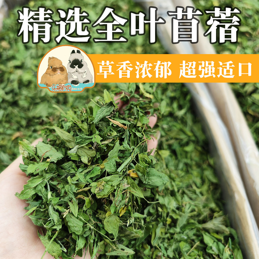24年新草苜蓿草全叶兔豚鼠龙猫
