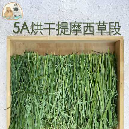 5A级25年新烘干提摩西草北提兔子食用草豚鼠龙猫干草牧草兔粮500g
