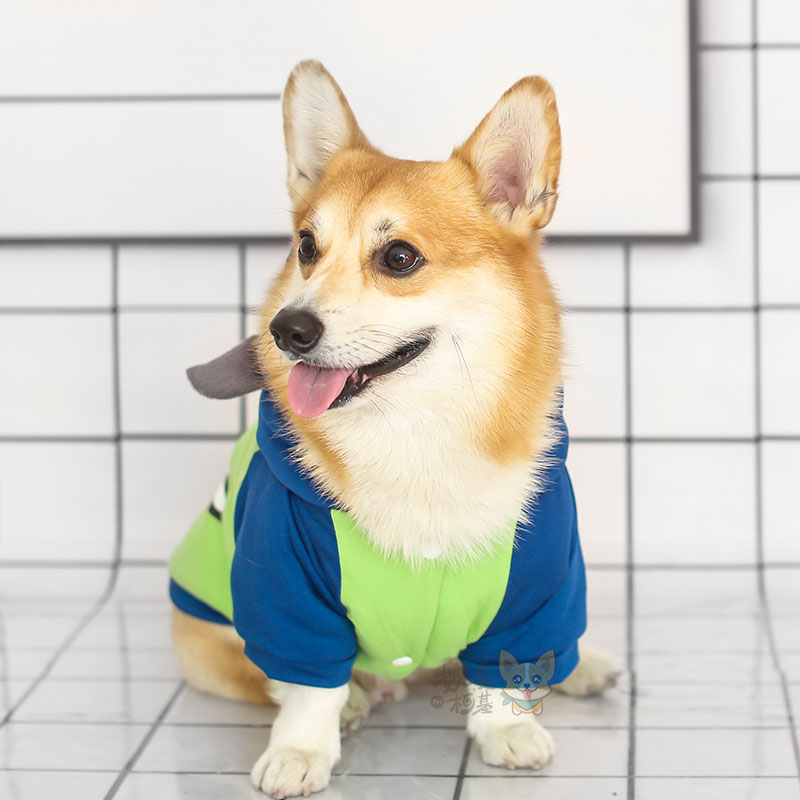 婉蔓柯基宠物 大眼仔棉衣柯基衣服秋冬款保暖衣双层加厚狗狗衣服