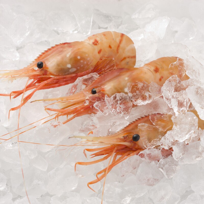 进口加拿大野生特大牡丹虾1kg冻虾