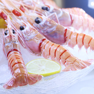 新西兰鳌虾scampi刺身进口斯干比海鳌虾刺身新鲜鲜活刺身日料