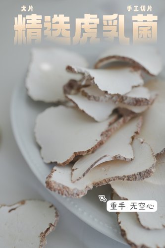 皓妈靓汤/大片 虎乳菌  150克，煲汤煮水