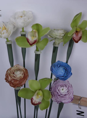 锦衣 鲜花储水管加长洋兰管带杆蝴蝶兰掌嫁接花艺花店养花保水管