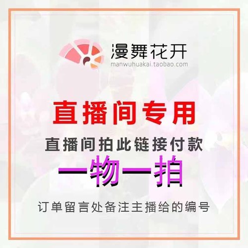漫舞花开蝴蝶兰优惠券一物一拍