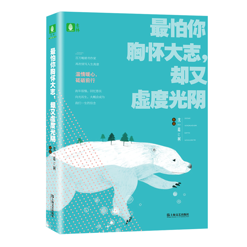 意林官方直营店 意林 最怕你胸怀大志 却又虚度光阴 沈嘉柯原创作品集 青春温暖励志散文