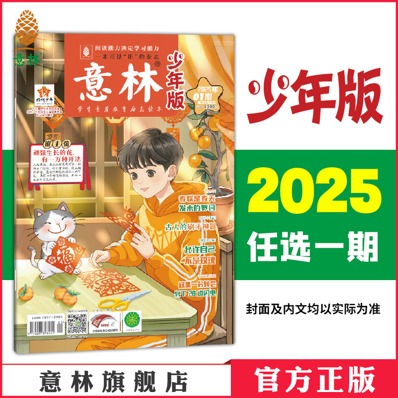 意林少年版2025年单本杂志期刊