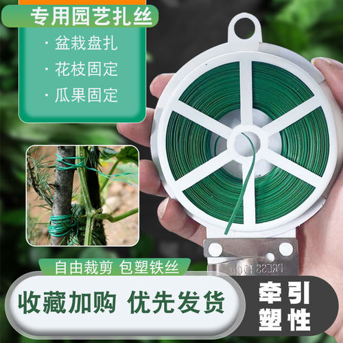 园艺扎丝花艺造型爬藤蔓牵引