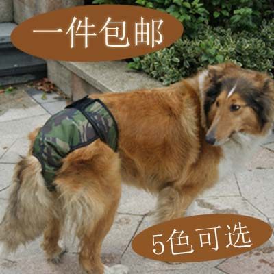 胡须叔叔 .大型犬金毛生理裤月经裤包邮安全裤发情防骚扰卫生裤