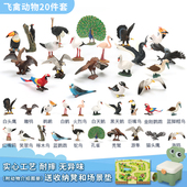 仿真动物模型飞禽鸟类玩具摆件套装 森林小鸟鹦鹉天鹅老鹰儿童礼物