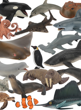 单个仿真动物海洋模型实心海豚白鲸玩具鲨鱼企鹅章鱼寄居螃蟹海星