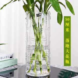 特大号落地富贵竹花瓶摆件玻璃透明水养水培直筒家用客厅插花装|饰