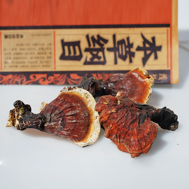 长白山野生灵芝全干中号东北原生态正品赤芝紫芝包邮