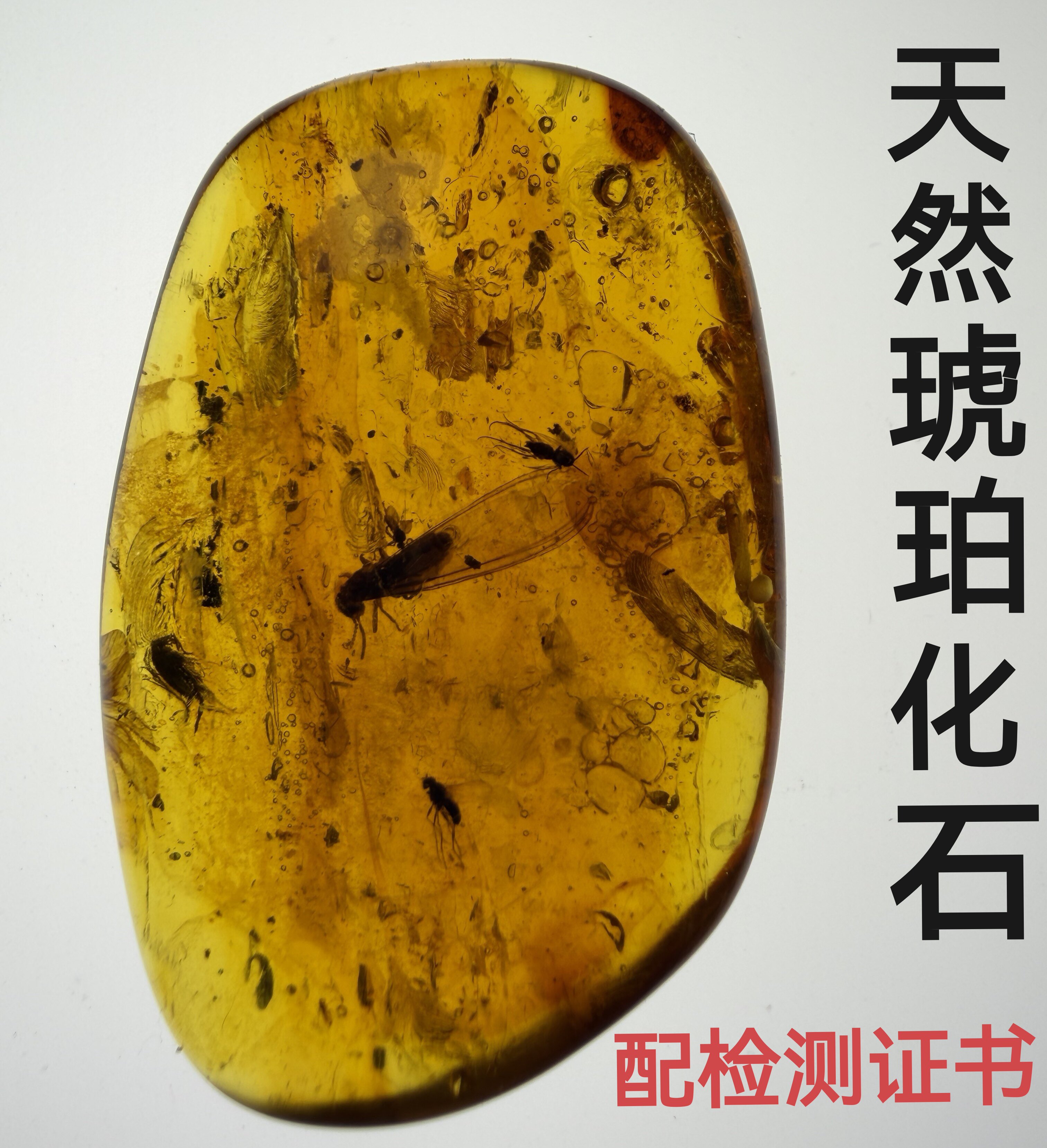 天然虫珀琥珀化石昆虫标本灵珀教学收藏风景花珀孤品 附检测证书