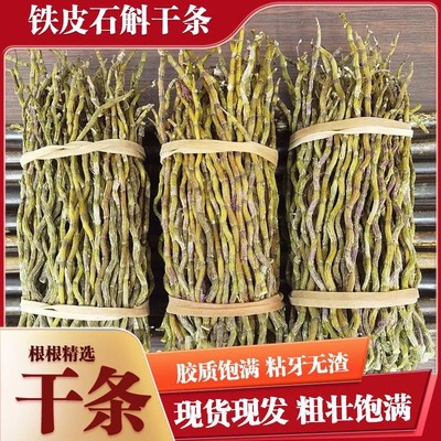 云南铁皮石斛铁皮石斛