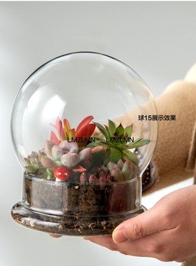 玻璃闷养简约植物苔藓微景观