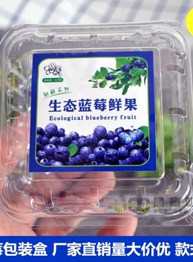 125g克一次性加厚蓝莓盒子pet塑料水果包装盒树莓枸杞盒满100个包