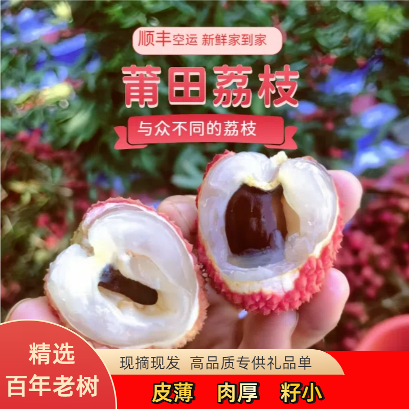 顺丰空运莆田荔枝新鲜水果状元红籽小肉多礼盒装高端送礼整件批发