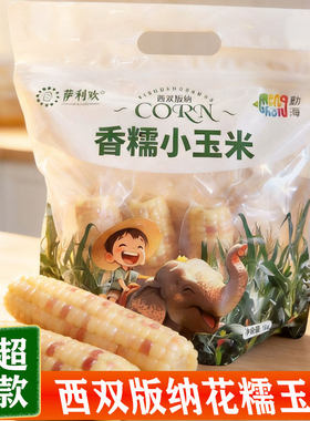 云南西双版纳花糯玉米小包谷