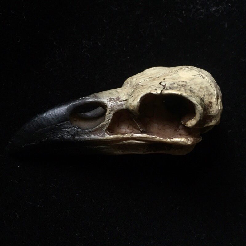 alchemy the vault v66 reliquary raven skull哥特树脂乌鸦头骨