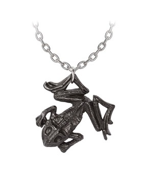 Alchemy Black Paddock P987 黑色牧场 摇滚朋克青蛙护符吊坠项链