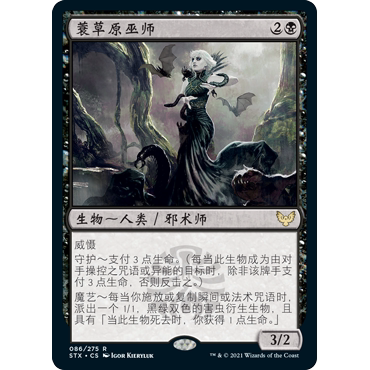 【聚点】万智牌 STX 蓑草原巫师 R 闪