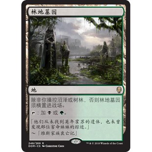 DOM 248 林地墓园 Woodland Cemetery 万智牌 闪 R