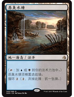 AKH 243 恶臭水塘 Fetid Pools 万智牌 闪 R