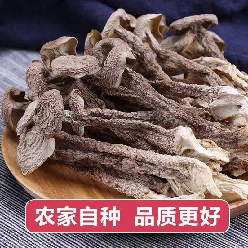 香菇木耳鹿茸菇菌陕南特产煲汤原理