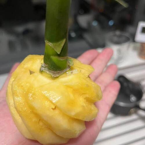 神湾菠萝迷你小菠萝削皮开袋即食