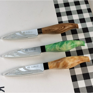精致小巧高品质瓜果刀切菜持久锋利带鞘不锈钢水果刀P51