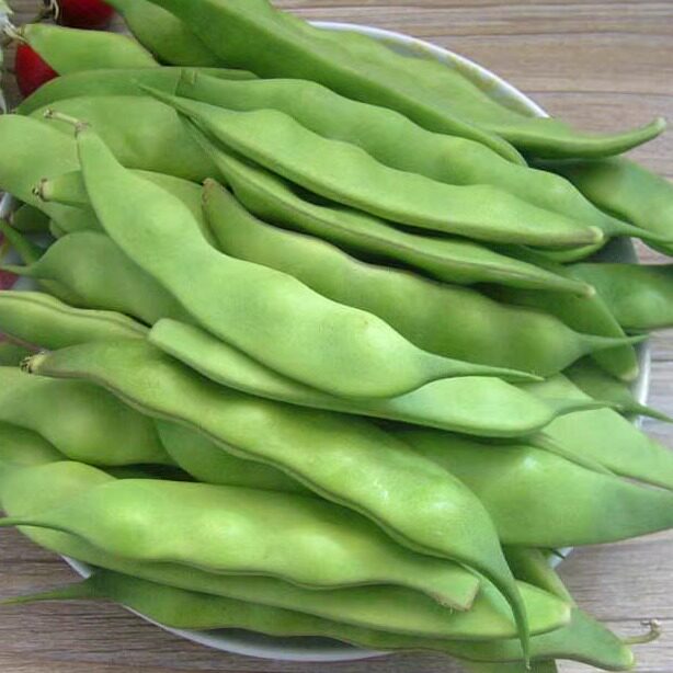 东北油豆角油豆角东北特产小油豆 软糯几豆开锅烂 小油豆