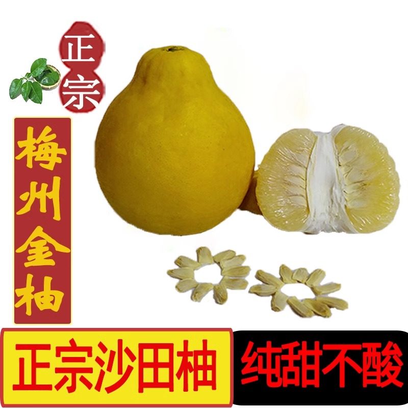 50斤大果正宗广东梅州沙田柚柚子当季孕妇新鲜水果新鲜水果应季,水产肉类/新鲜蔬果/熟食,柚子,淘宝优惠券,粉丝福利购,淘宝优惠卷