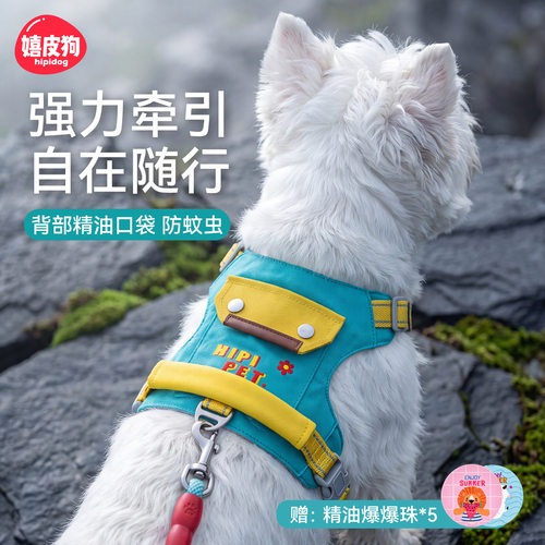 宠物胸背带牵引绳撞色防爆冲防挣脱牛津布小型犬反光可调节牵引绳
