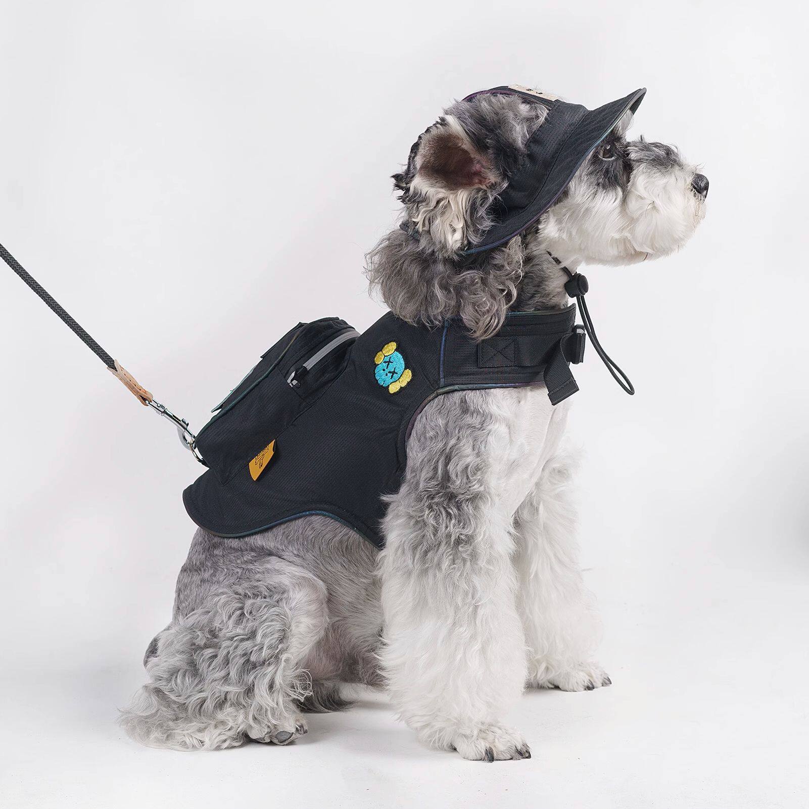 户外反光狗狗胸背可牵引溜猫遛狗衣服带背包四季小型犬外出衣服潮图片