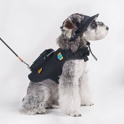 户外反光狗狗胸背可牵引溜猫遛狗衣服带背包四季小型犬外出衣服潮