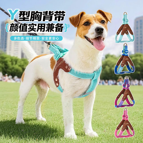 皮质反光马鞍式狗狗牵引绳中小型犬泰迪比熊柯基可调节胸背带狗绳
