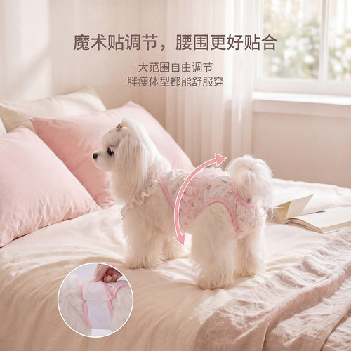狗狗生理裤小型犬卫生巾约克夏安全裤月经期裤子可调节宠物姨妈裤