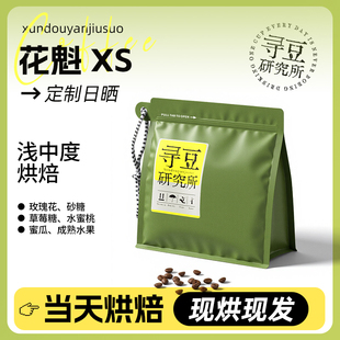 寻豆研究所 ABEL埃塞精品咖啡豆定制日晒手冲 花魁Xs古吉BUKU