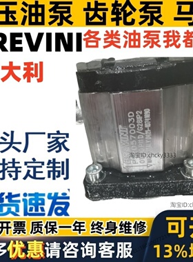 brevini泵OT200M04R/G28P2-PFM PT200P11D/G28P2-VM PS2057003D